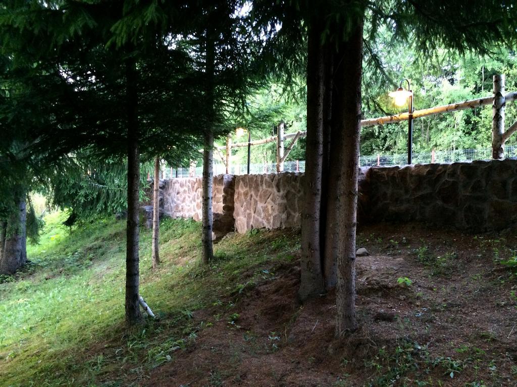 Casa Laur Cu Plaja Privata Hotel Colibiţa Exterior foto